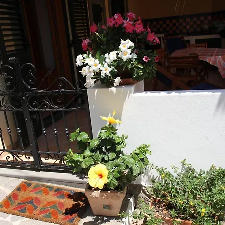 Pinnata - Il Palmento Apartment